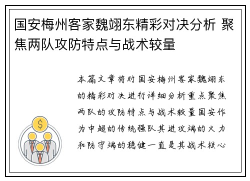 国安梅州客家魏翊东精彩对决分析 聚焦两队攻防特点与战术较量