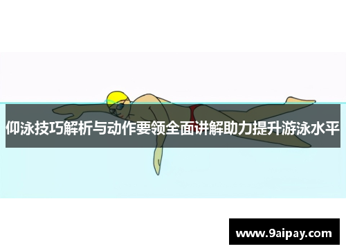 仰泳技巧解析与动作要领全面讲解助力提升游泳水平