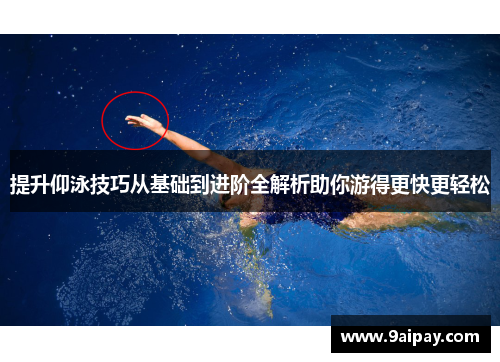 提升仰泳技巧从基础到进阶全解析助你游得更快更轻松