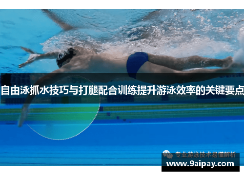 自由泳抓水技巧与打腿配合训练提升游泳效率的关键要点