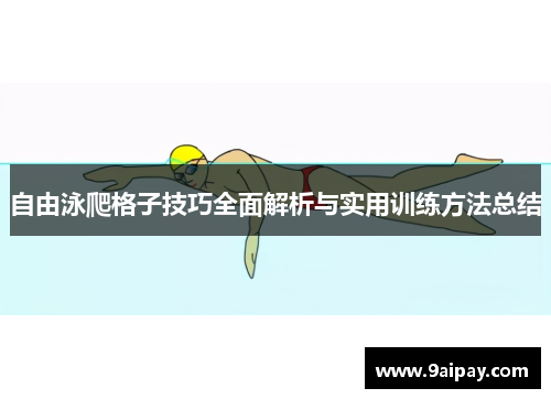 自由泳爬格子技巧全面解析与实用训练方法总结