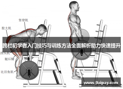 跨栏初学者入门技巧与训练方法全面解析助力快速提升
